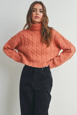 Turtleneck Cable Knit Sweater