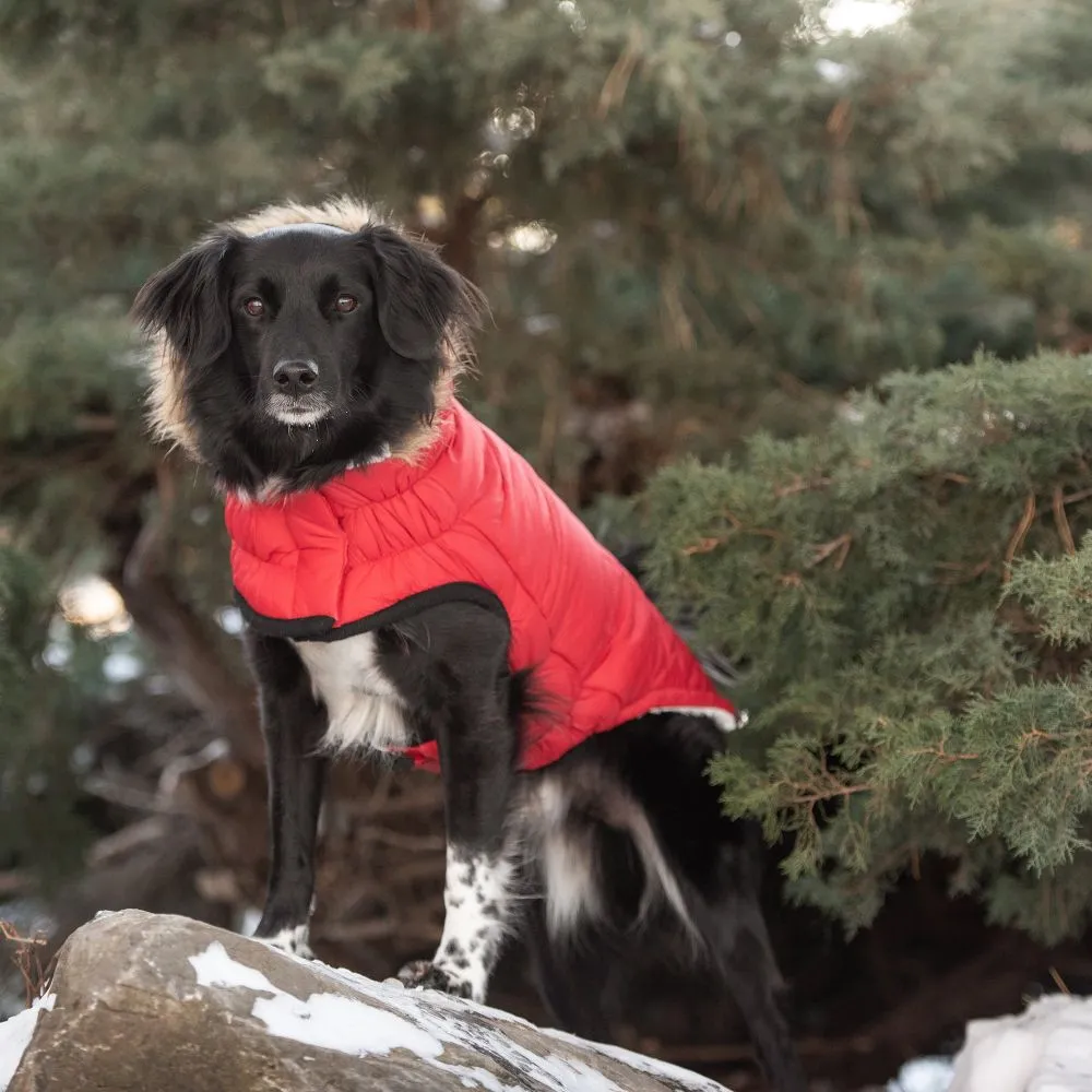 Urban Parka in Red